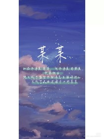 柠檬导航500正品蓝